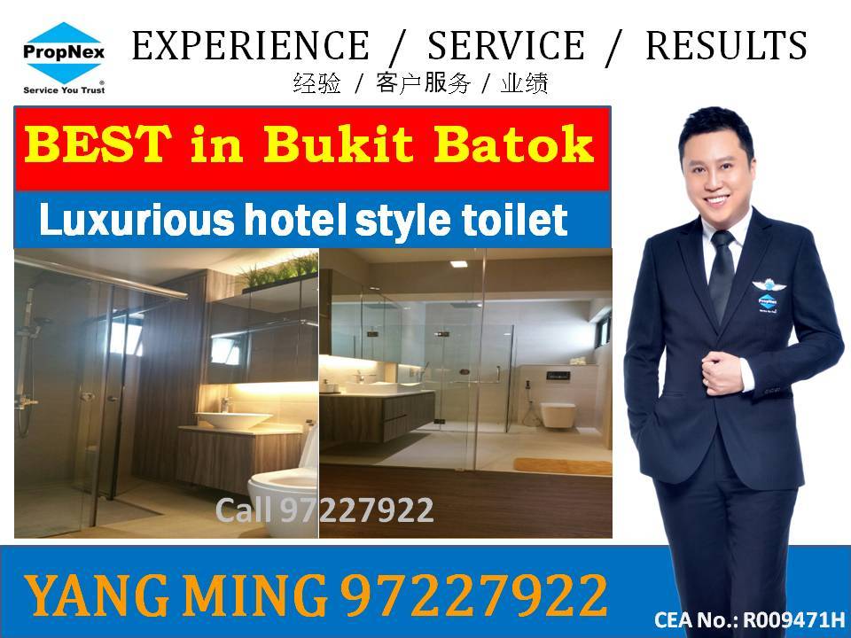 Blk 101 Bukit Batok West Avenue 6 (Bukit Batok), HDB 5 Rooms #84730842